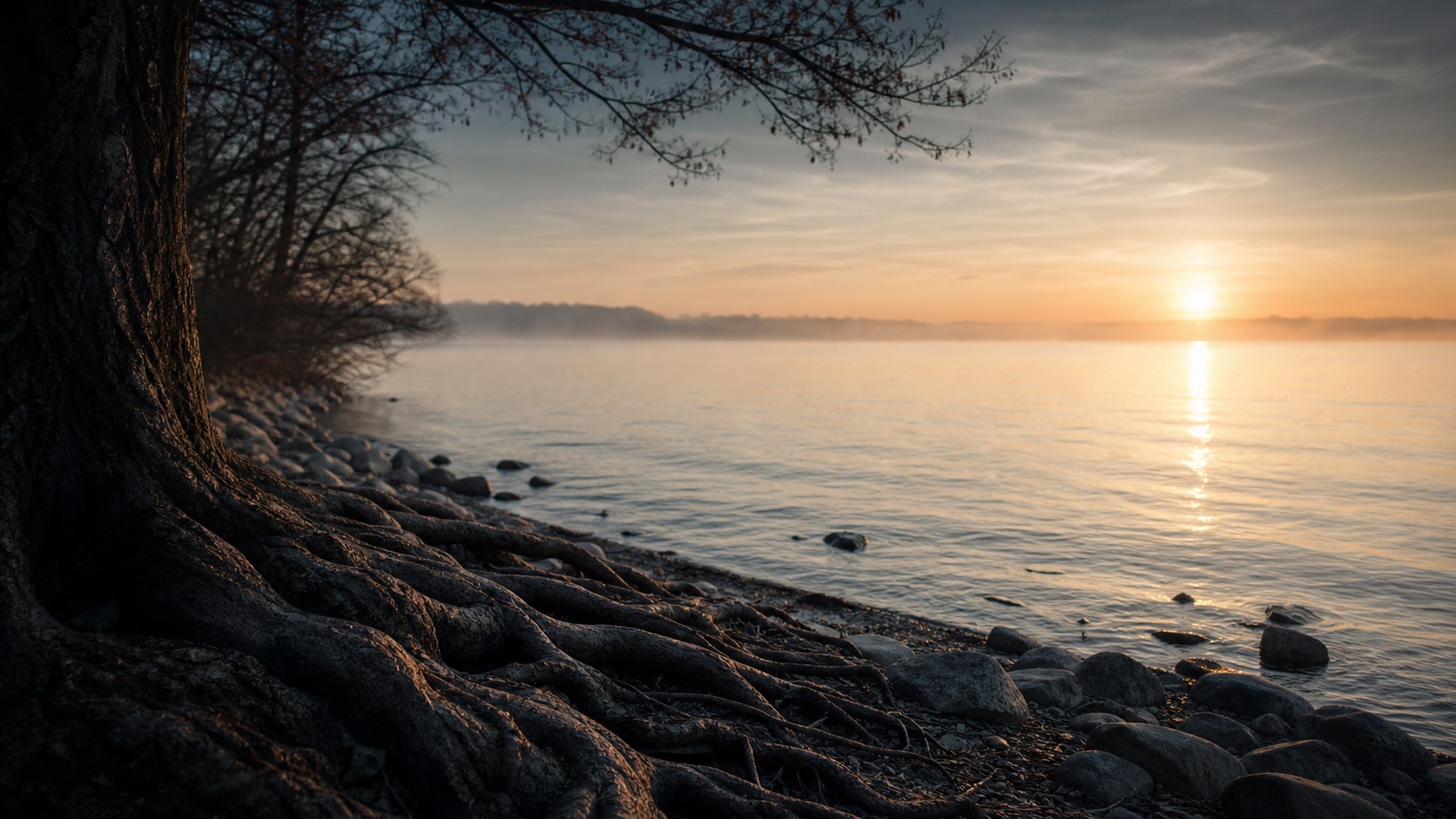 Der Bodensee bei ruhigem Licht als Bild für Weite, Verwurzelung und einen eigenen Weg